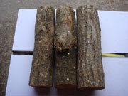 ひらたけほだ木購入ページへ