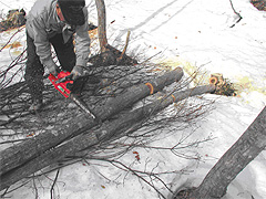 原木なめこ栽培-90cmカット