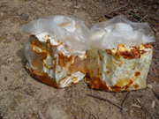 舞茸ほだ木ご購入ページへ