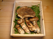 ミックス購入ページへ